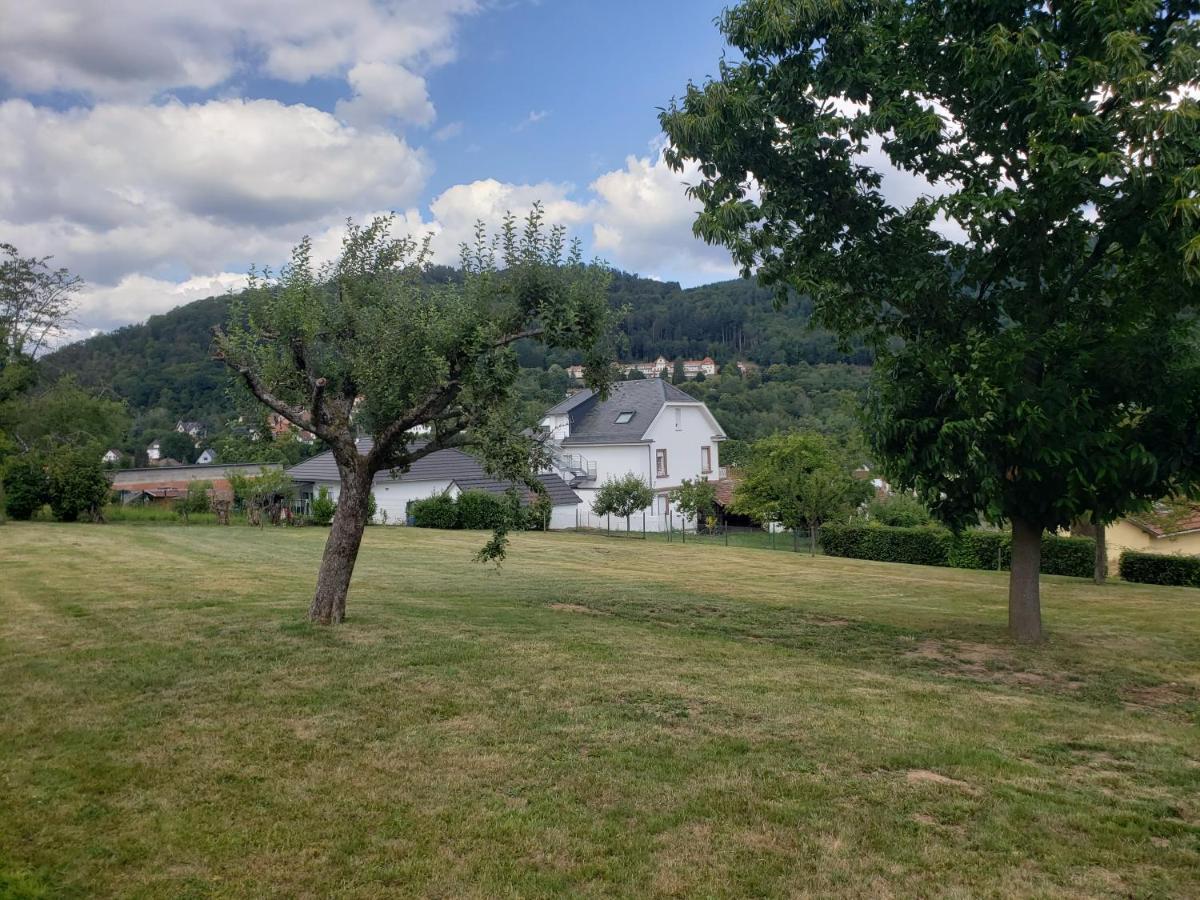 Le Souplex D'Anais Bed & Breakfast Schirmeck Eksteriør bilde