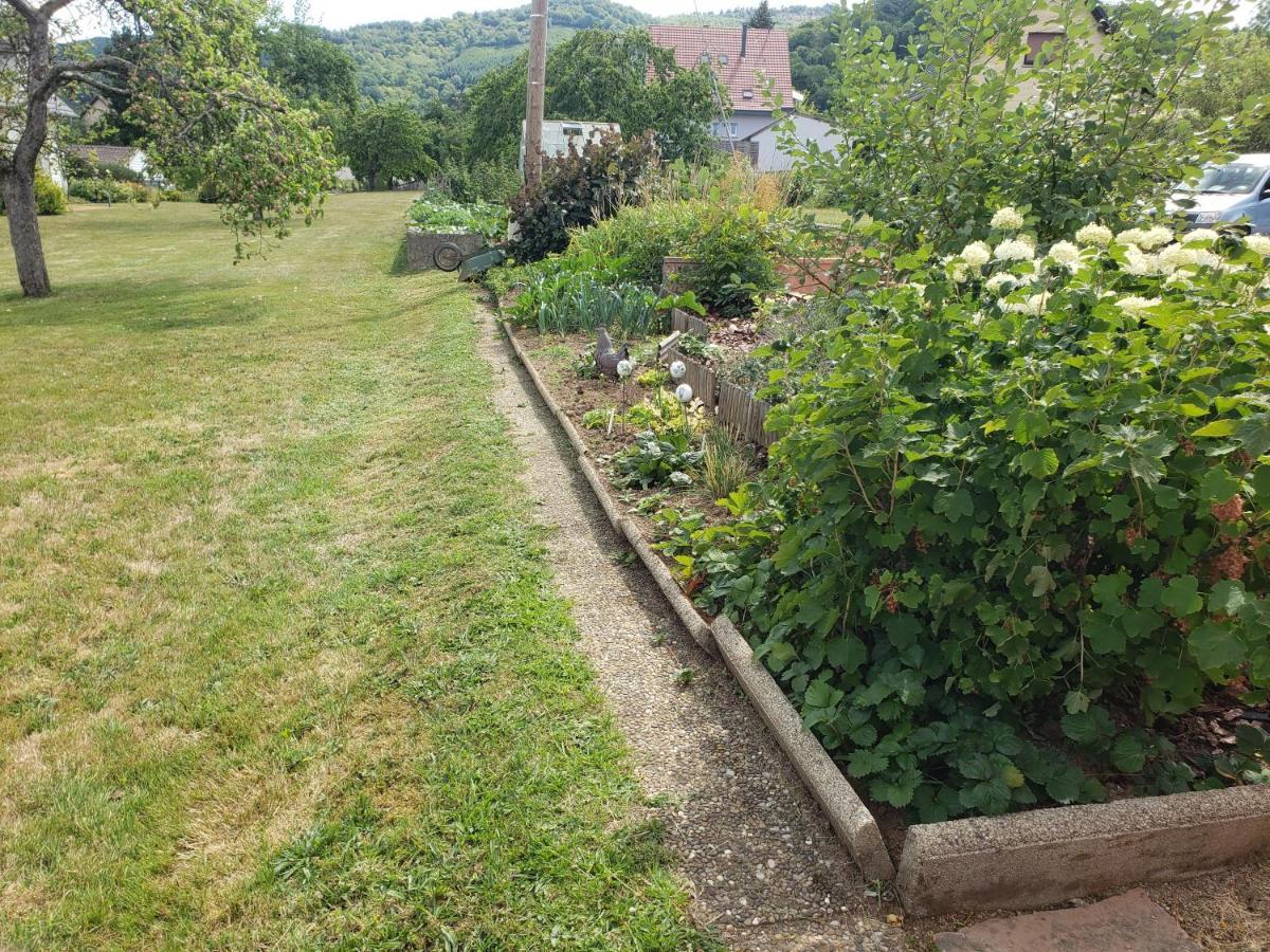 Le Souplex D'Anais Bed & Breakfast Schirmeck Eksteriør bilde